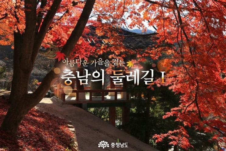 충남 가볼만한곳 아름다운 가을을 걷는 충남의 둘레길 | 충남도청페이스북