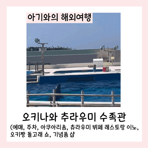  오키나와 추라우미 수족관(예매, 주차, 아쿠아리움, 추라우미 뷔페 레스토랑 이노, 오키짱 돌고래 쇼, 기념품샵)