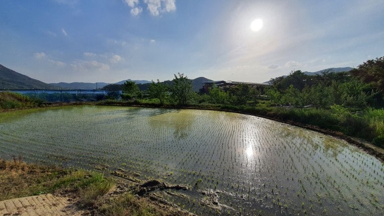 조상골 사진 4