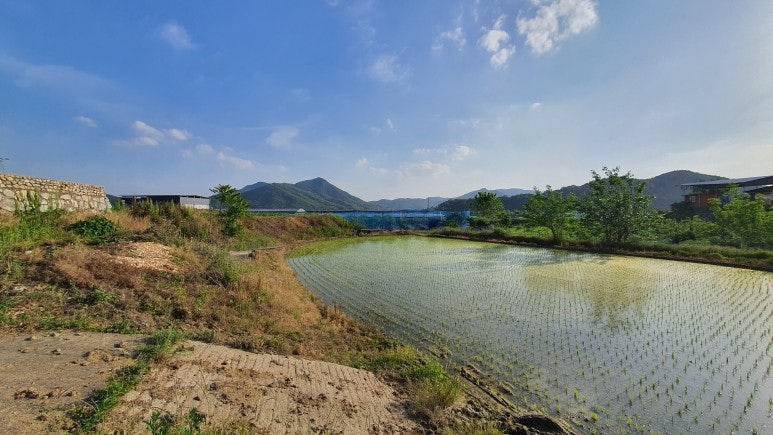 조상골 사진 3