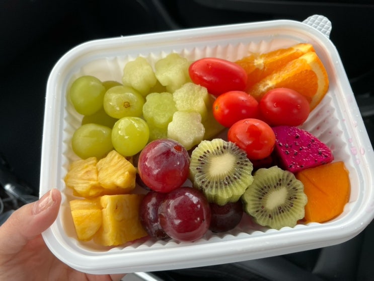 청주 과일 맛집 :: 과일배달가능 송절동 테크노 오늘의과일