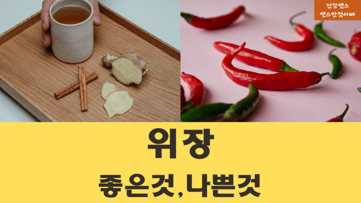  위장 건강 좋은 약초(생강, 유자, 민트, 복숭아잎) | 위장 나쁜 피해야 할 약초(고추, 감초, 고아성나무)