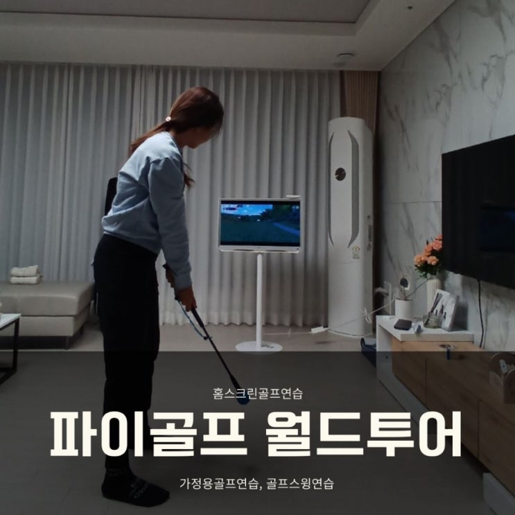  홈스크린골프연습 파이골프 후기 월드투어 에디션 골프스윙연습