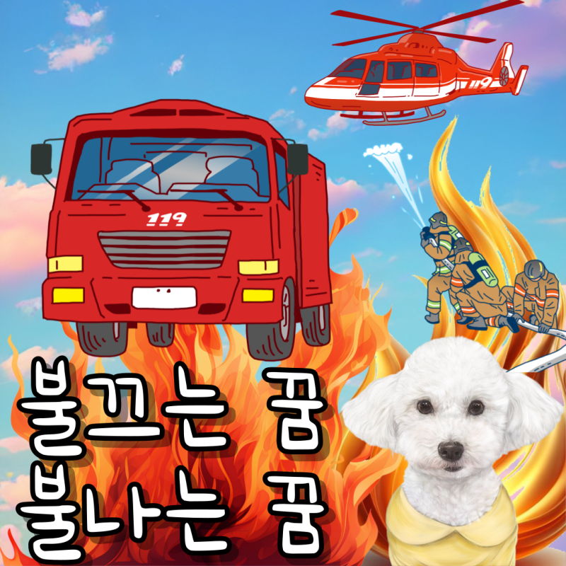 불끄는 꿈 집에 건물에 불나는 꿈 다양한 불꿈 해몽