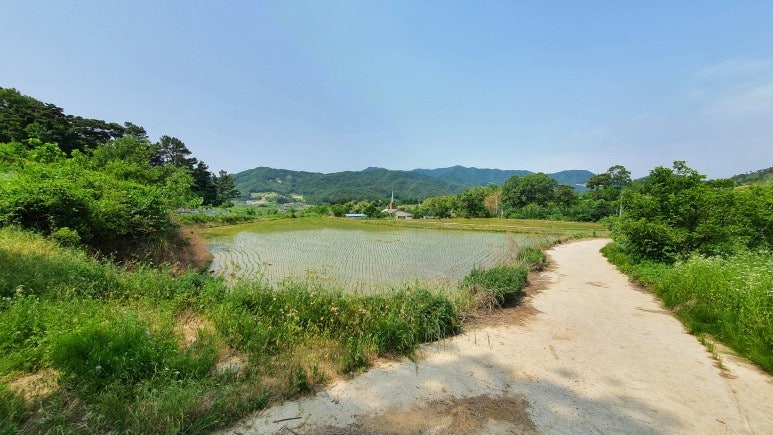 비취골 사진 3