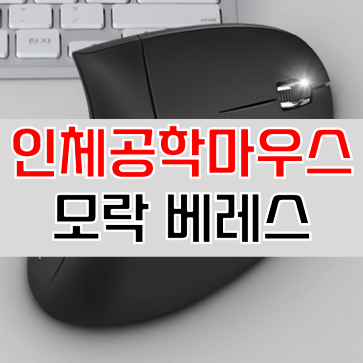 모락 베레스 인체공학 마우스 추천 사무용으로 딱
