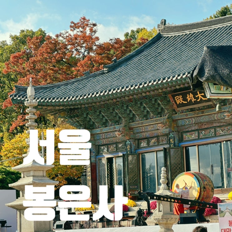  서울 봉은사 산책 가을 단풍 실시간 현황
