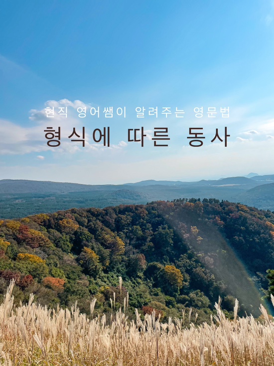  영어쌤이 알려주는 영문법 | 형식에 따라 다르게  쓰이는 동사들
