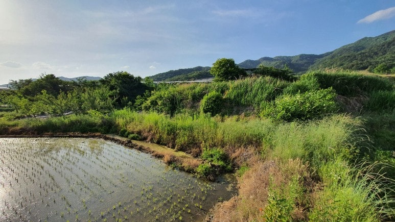 조상골 사진 6