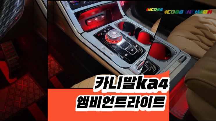  카니발ka4 엠비언트 유니크한 나만의 아이템