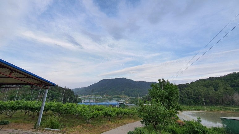 참새망골 사진 4