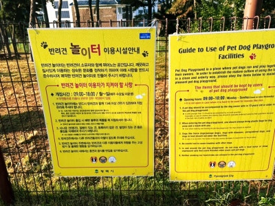 사진 2
