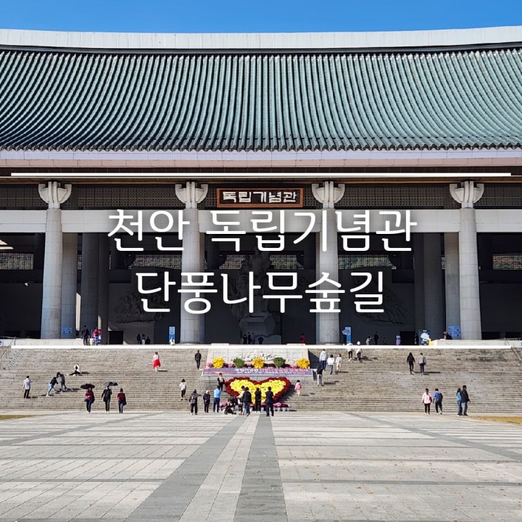  천안 아이랑 가볼만한 곳: 독립기념관 단풍, 시간, 야간개장, 주차 정보, 태극열차