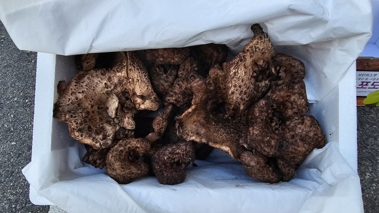  불용설비, 불용파츠, 창고정리 전문업체 입니다