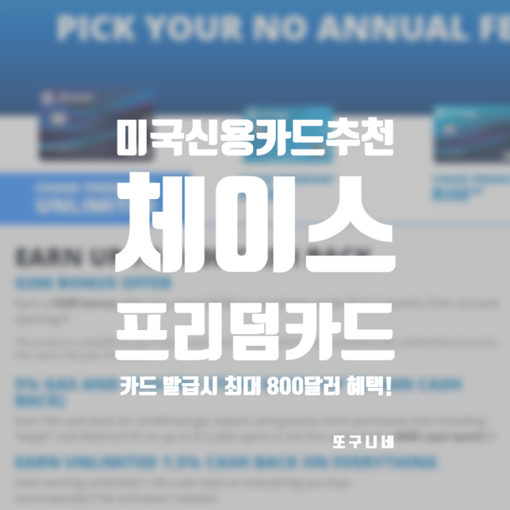  미국 생활 첫 신용카드 추천 : 체이스 프리덤 최대 800달러 보너스 혜택! Chase freedom (리퍼럴 링크 공유)