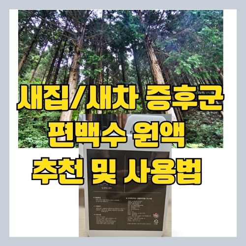  새집/새차 증후군에 효과 좋은 편백수 원액 추천 및 사용법