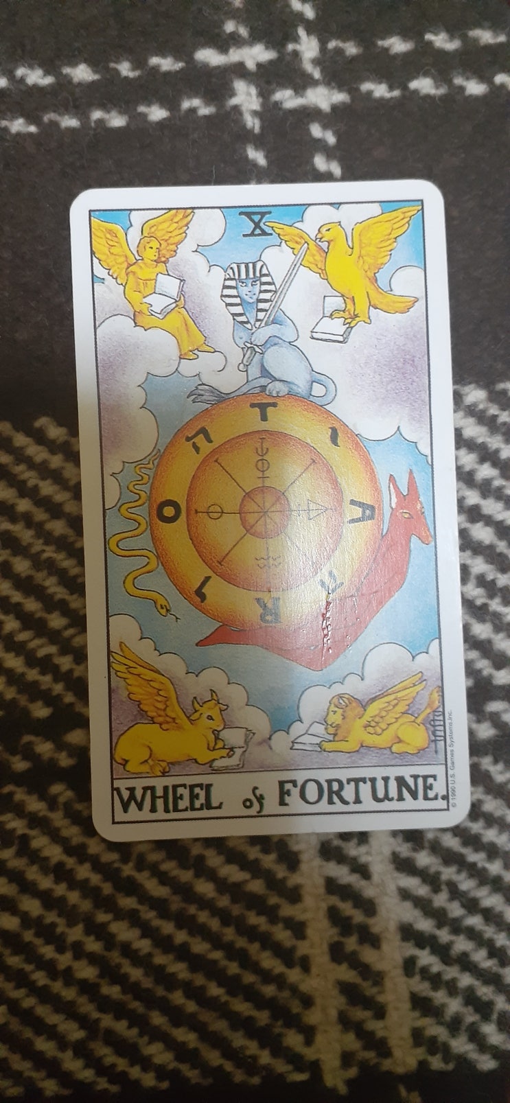10 운명의 수레바퀴(The Wheel & Fortune)타로카드