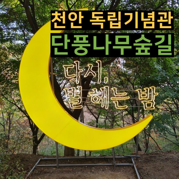  천안 독립기념관 단풍나무숲길 및 힐링축제
