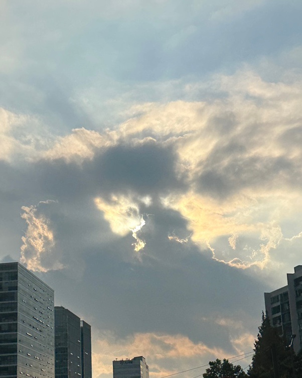  23.10.24 일상기록