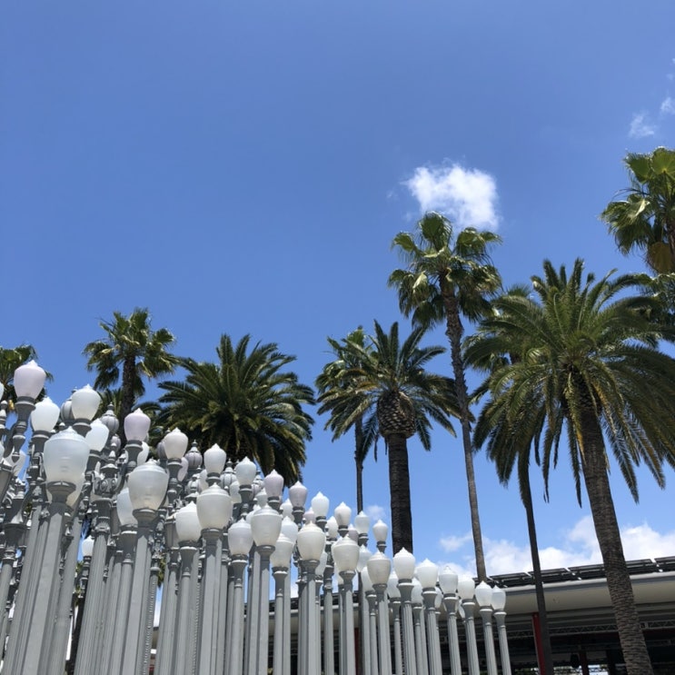  라라랜드 촬영지인 LA야간명소 그리피스천문대 | LA핫플레이스 LACMA 어반라이트