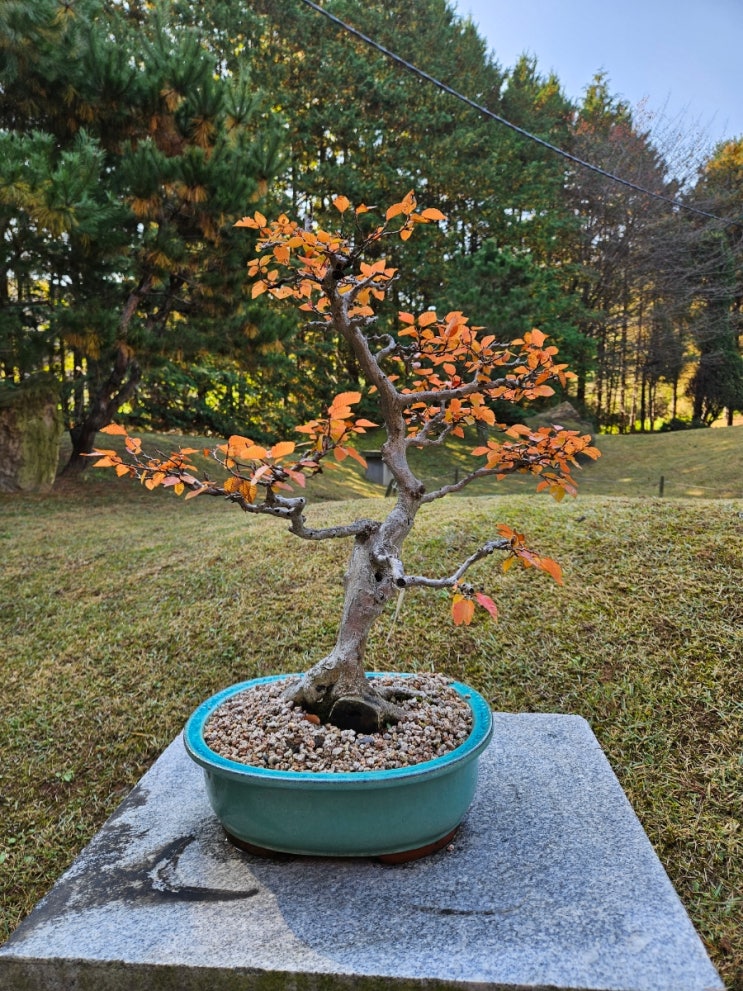  오산 물향기수목원