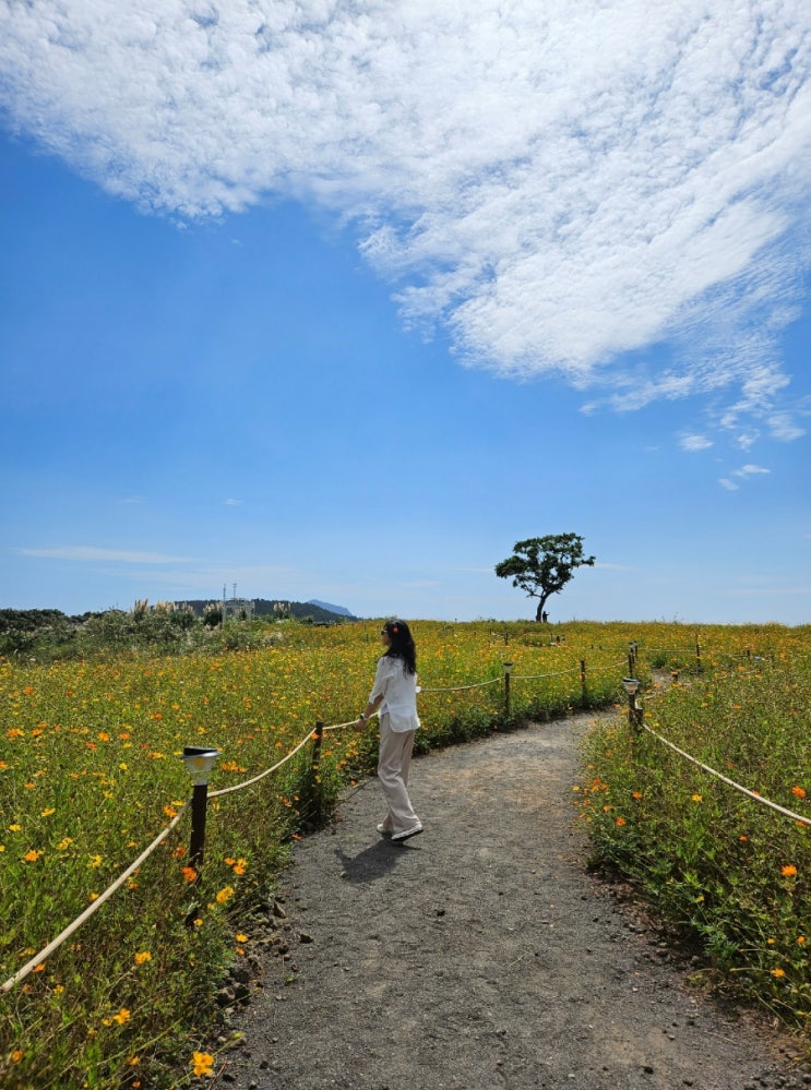  1박 2일 제주 여행