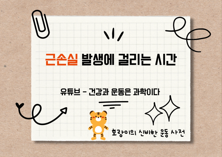  #40 근손실 발생 원인, 오해, 진실, 방지 방법