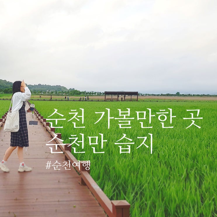  [전라도여행] 순천국제박람회 순천만 습지 : 일몰, 노을이 예쁜 갈대밭 여행지, 순천 가볼만한 곳