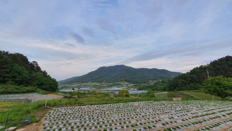 참새망골 사진 1