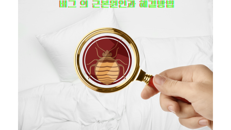  소프트웨어 버그의 근본 원인과 해결 방법