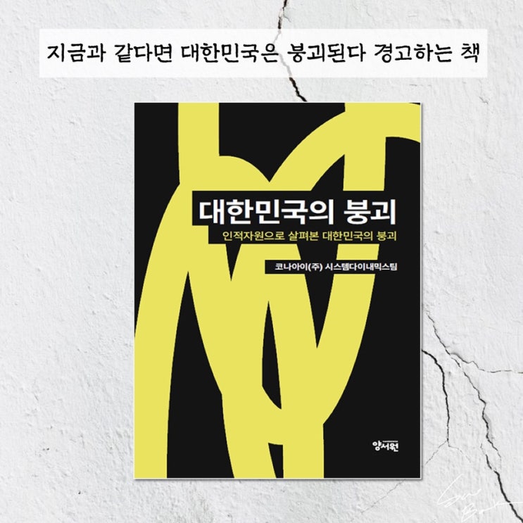  대한민국의 붕괴 - 코나아이 / 저출산 해결할 수 있을까