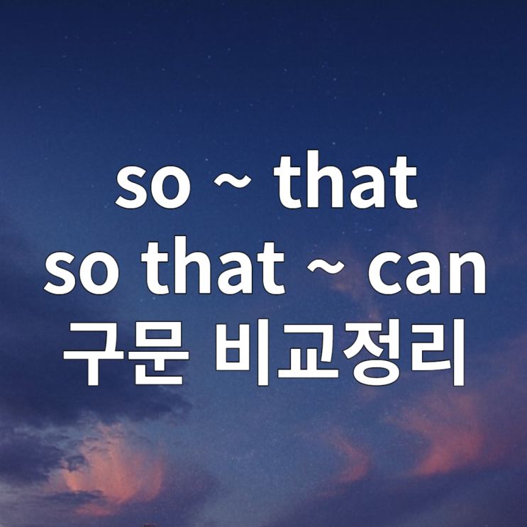 so ~ that / so that ~ (can/could) 구문