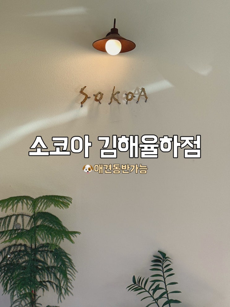  [경남 김해] 율하 관동동 맛집 소코아 김해율하점 (+애견동반가능, 후기)