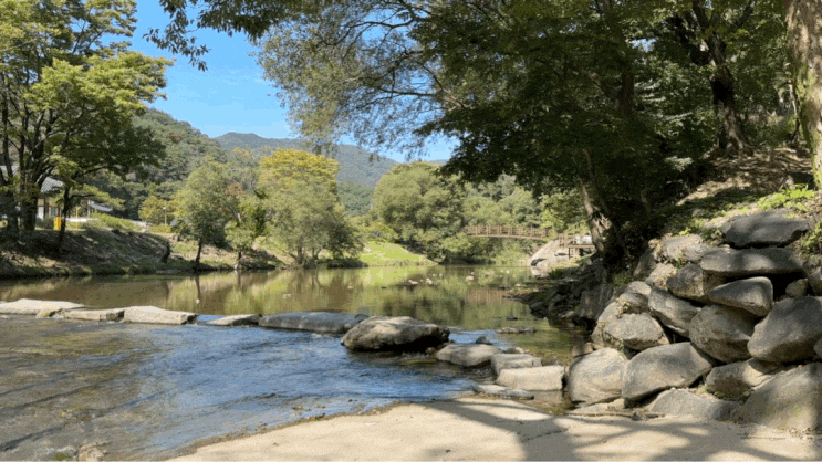  [충남/공주] 사진찍기 좋은 절, 마곡사