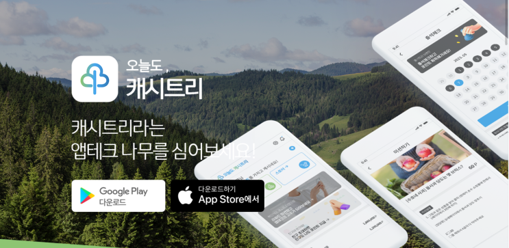  오늘도캐시트리하서 돈 좀 긁어모아보세요!!(feat. 앱테크 추천)