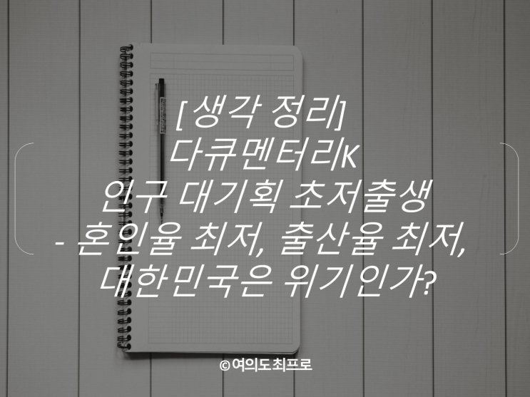  [생각 정리] 다큐멘터리K 인구 대기획 초저출생 - 혼인율 최저, 출산율 최저, 대한민국은 위기인가?