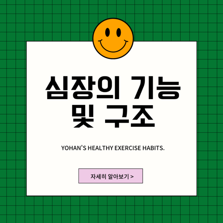  심장의 기능 및 구조 알아보자