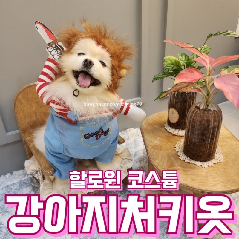 강아지 할로윈 처키 옷 코스튬 재미난 후기