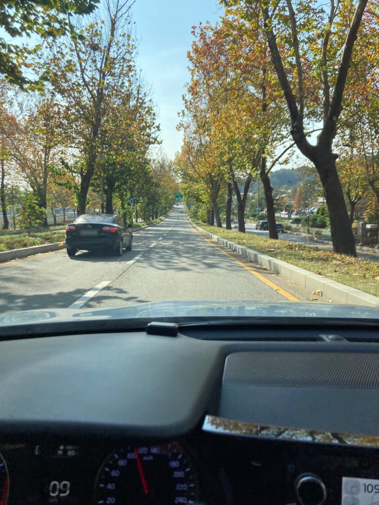  청주 메리다웨딩컨벤션 리얼하객후기 / 위치,뷔페식사,예식장