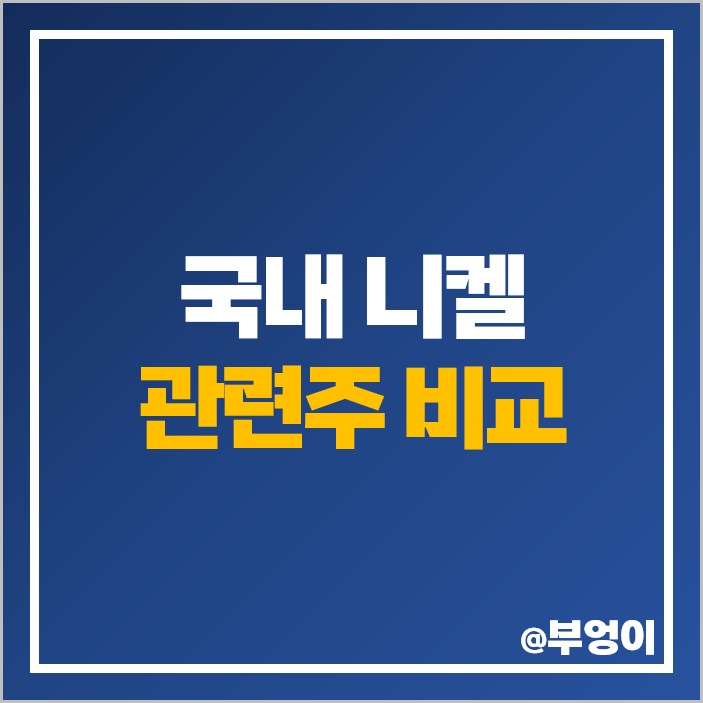 니켈 관련주 국내 주식 포스코 유에스티 엘지화학 주가 니켈 관련주 국내 주식 포스코 유에스티 엘지화학 주가