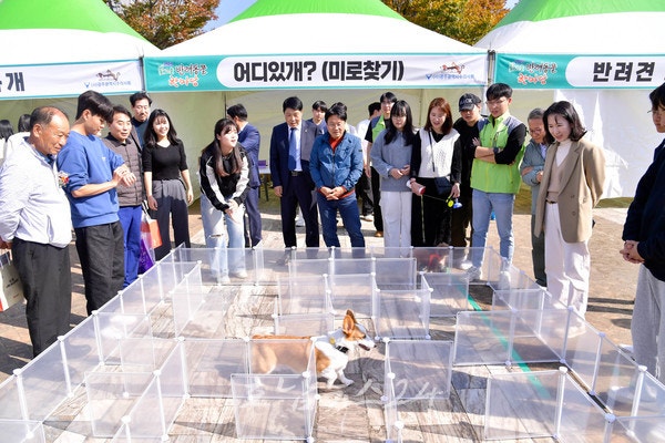 반려인과 반려동물 함께하는 2023 빛고을반려동물한마당 성료