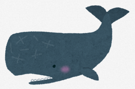 고래에 대한 꿈해몽 모음