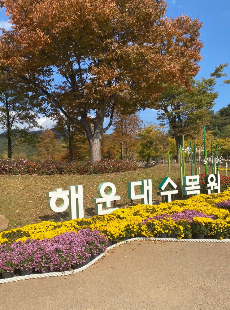  부산 주말 나들이, 아이들과 함께 가기 좋은 해운대수목원