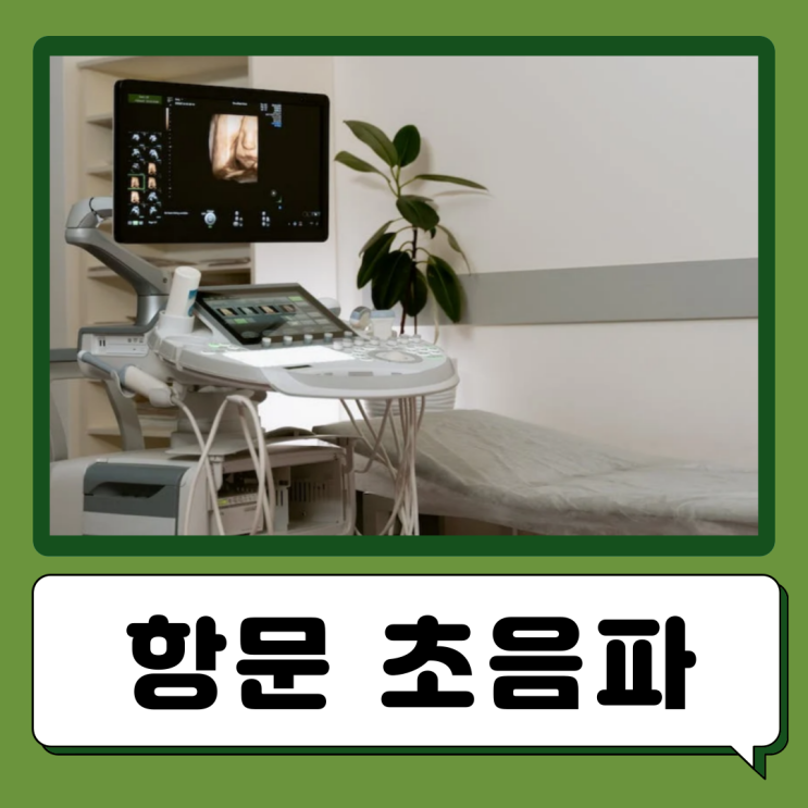  산부인과 항문초음파 이유 방법