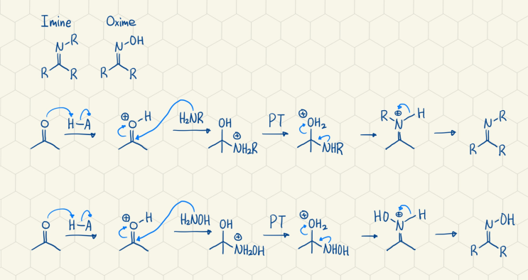  Oxime 옥심