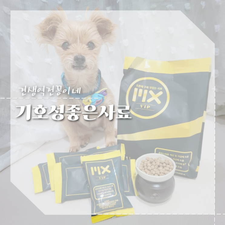  강아지 기호성 좋은 사료 노견 영양식 추천 알러지사료 구매팁