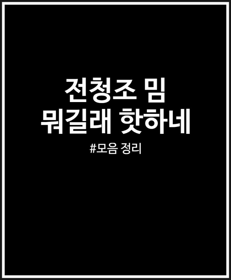  전청조 밈 카톡 뭐길래 핫하네 모음 정리 (feat. 휴먼청조체)