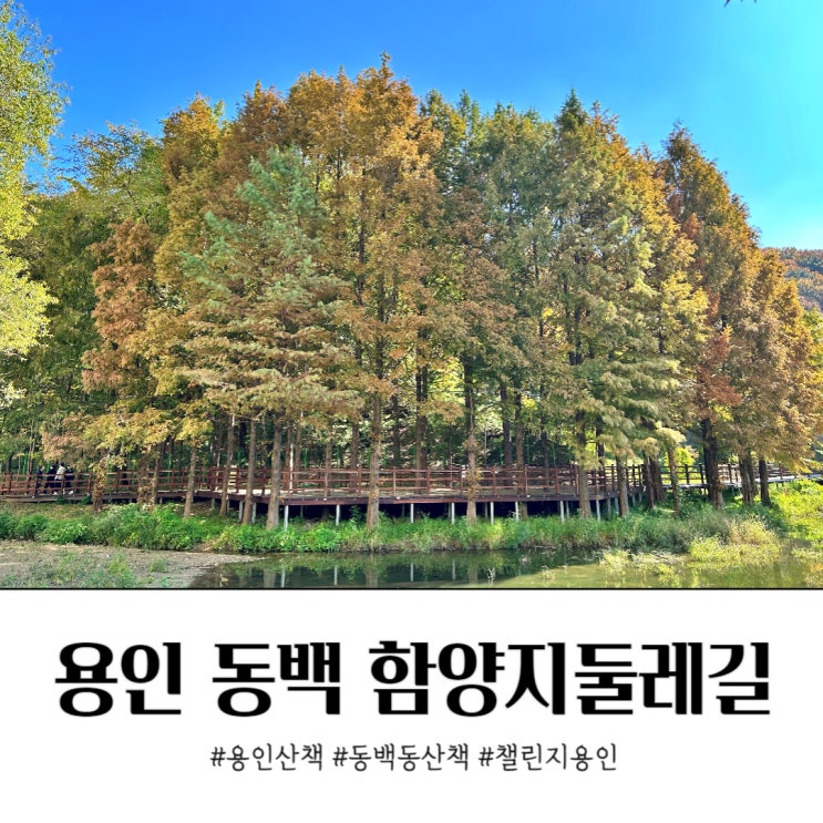  동백동 산책 함양지 둘레길 단풍과 여유