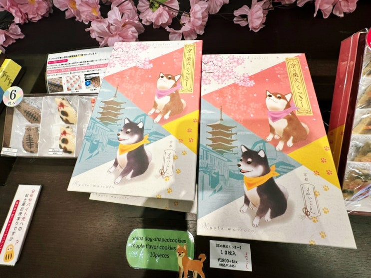 [일본 교토여행 ] 귀여운 고양이, 강이지 모양 등 다양한 수제 쿠키를 판매하는  마이코토 기온점
