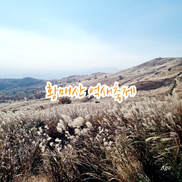  합천 황매산 억새축제 feat 가을여행명소
